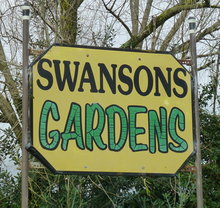 swansons sign